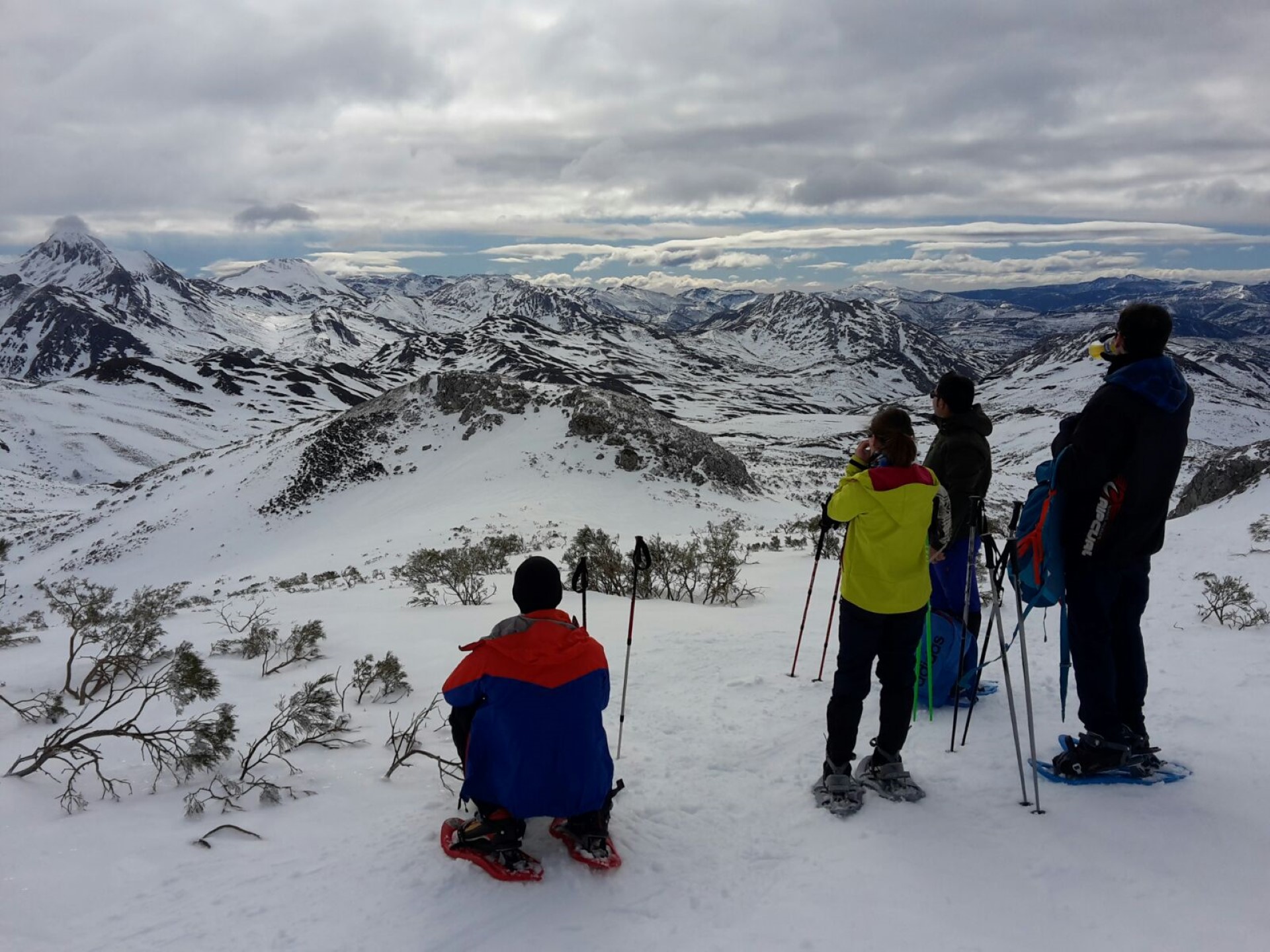 Imagen de Raquetas de Nieve